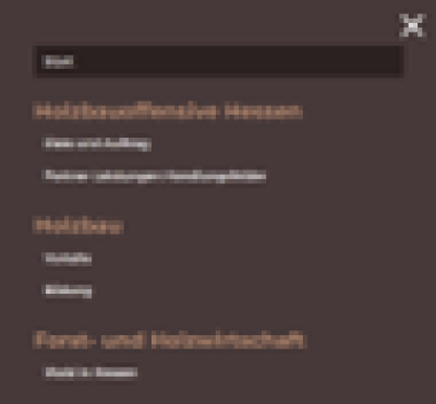 Übersicht Website Screenshot des Burgermenüs der Website